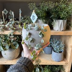 String of Hearts Mini