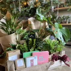 Starter Hamper