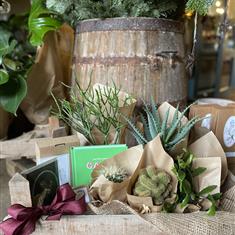 Prickly Hamper