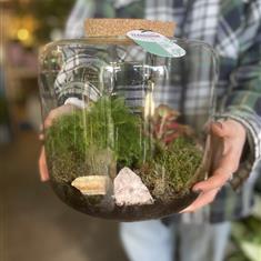 XL terrarium