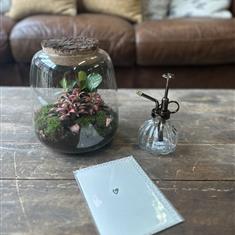 Terrarium Gift Set